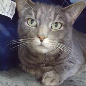 Meet your Posher, Lori